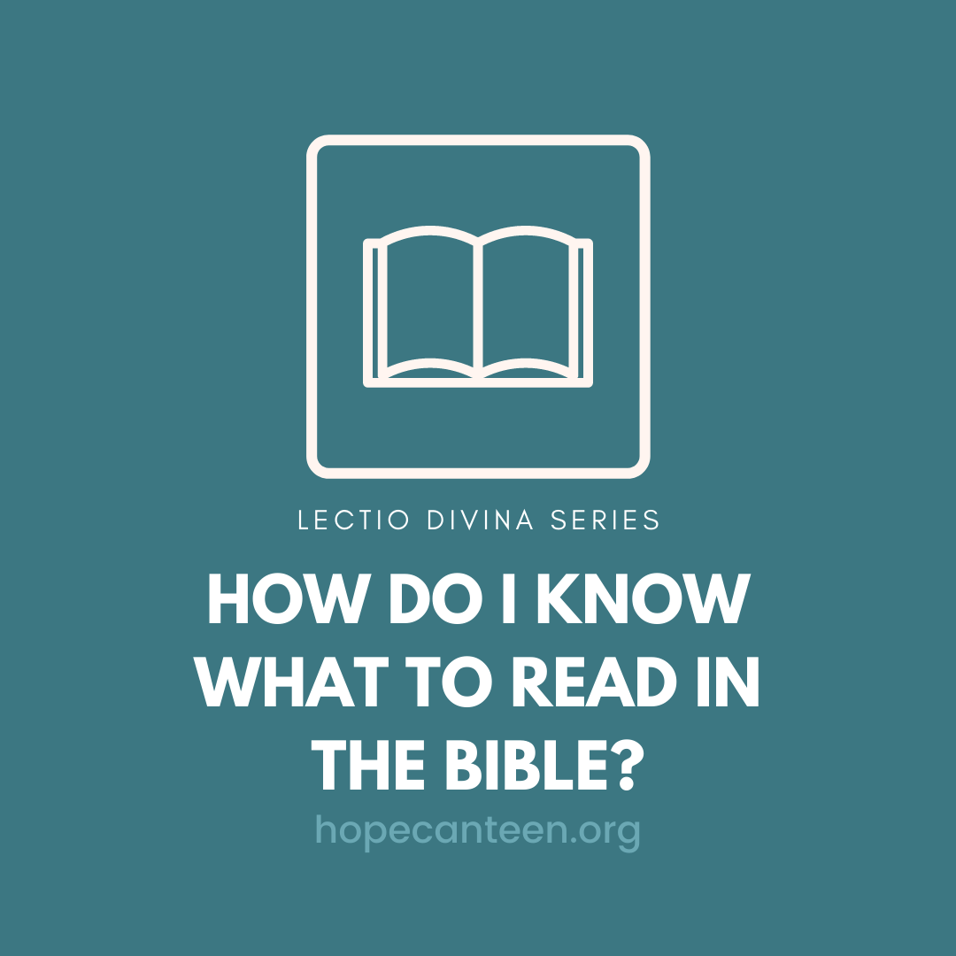 What to read in the Bible?