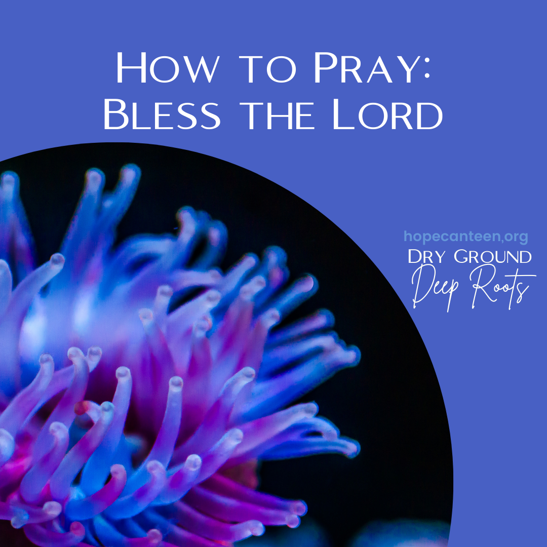 How to Pray: Bless the Lord